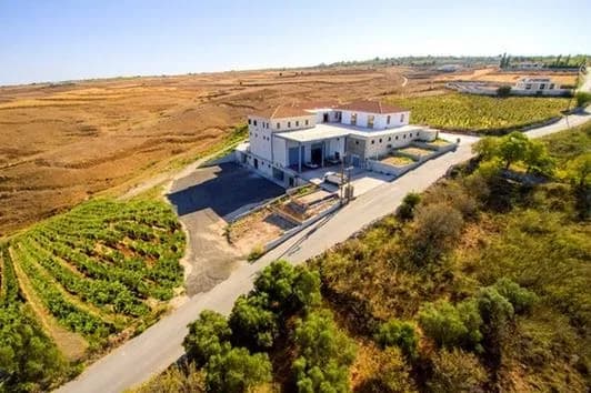 Vasilikon Winery wedding venue